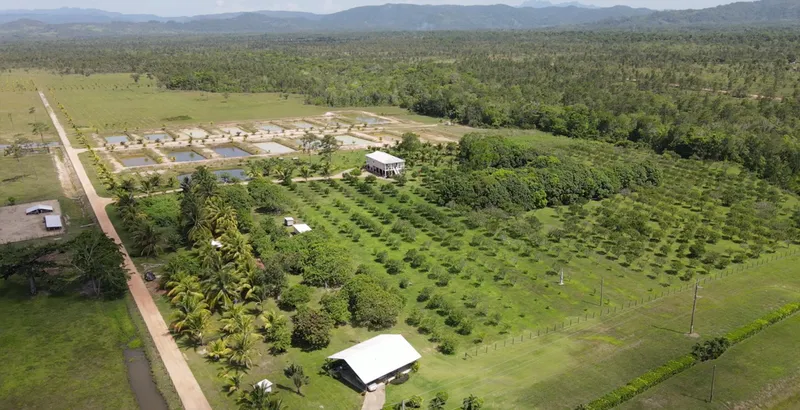 Profitable Organic Farm