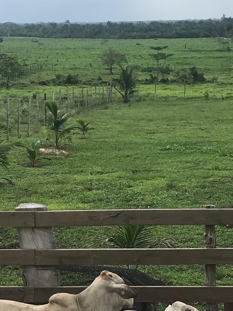Spanish Creek Estates Land at Rancho Dolores