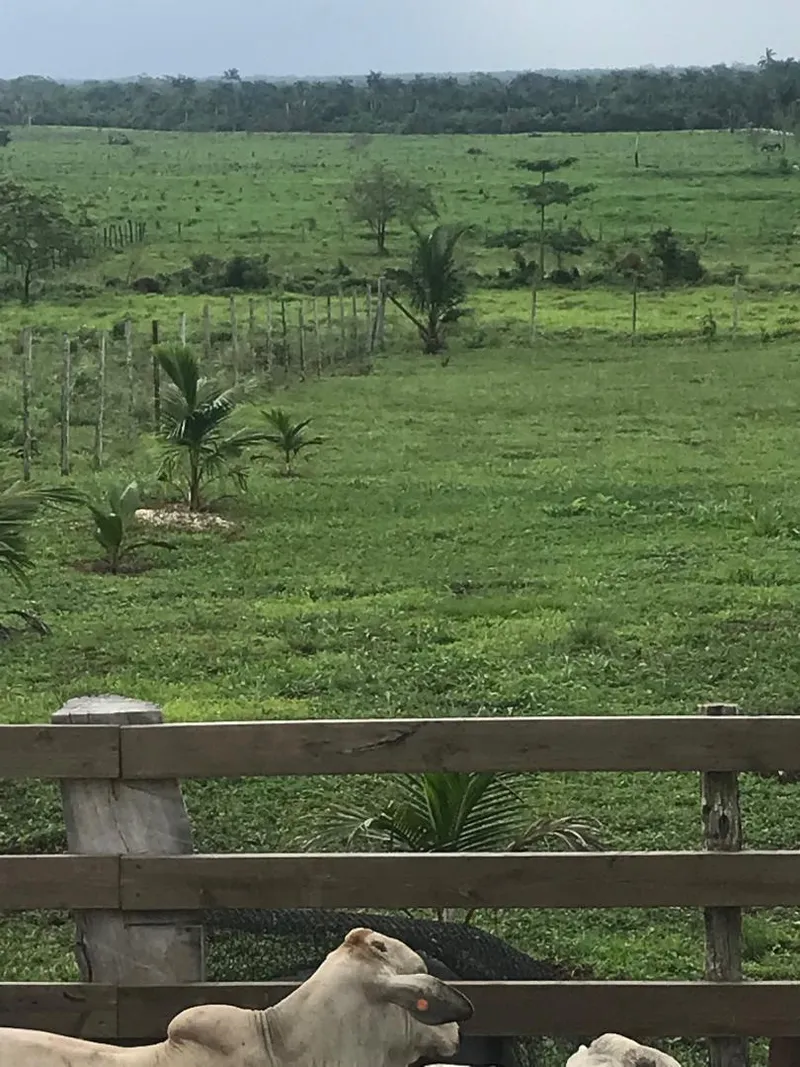Spanish Creek Estates Land at Rancho Dolores