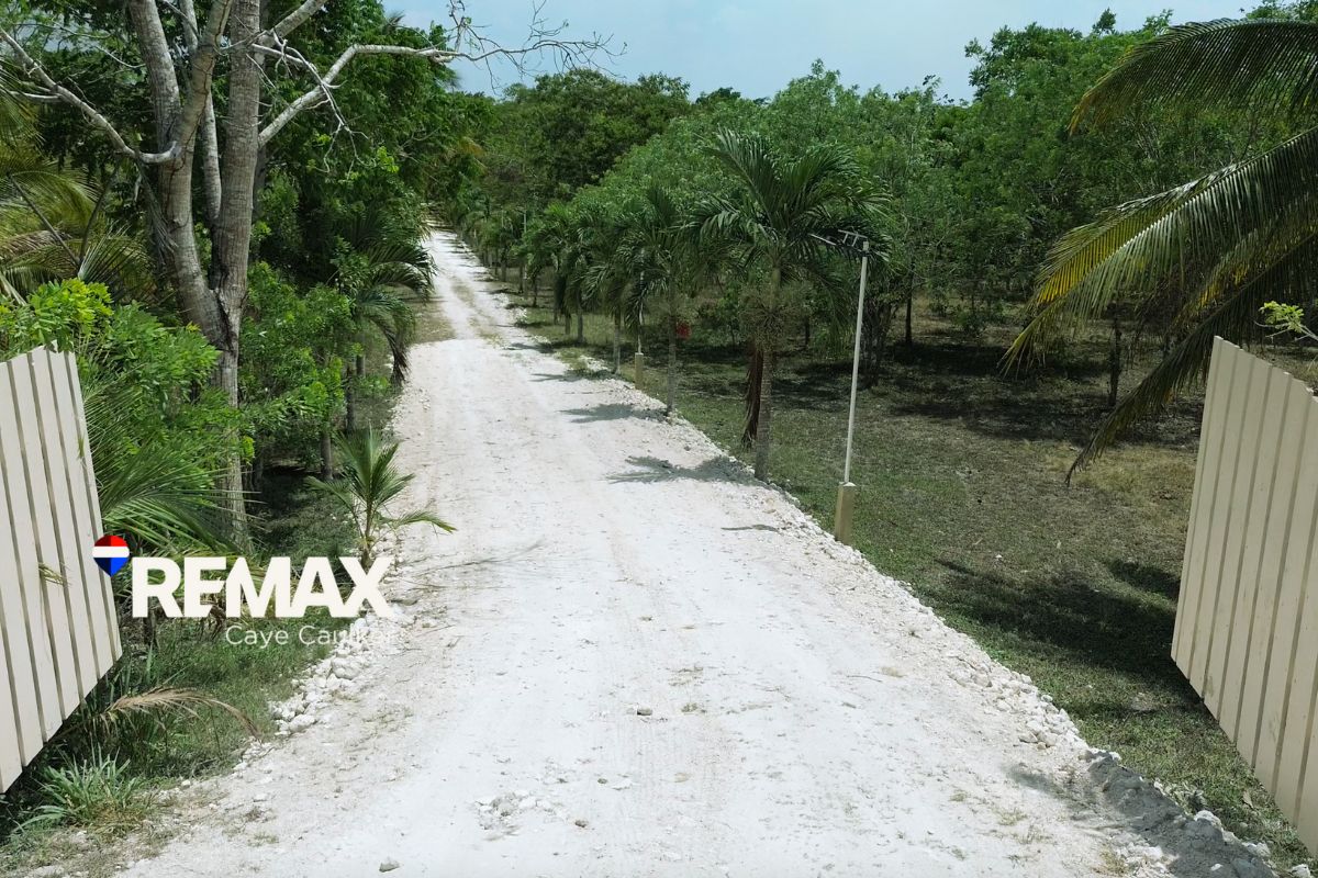 90-Acre Belize Jungle Estate Near Spanish Lookout