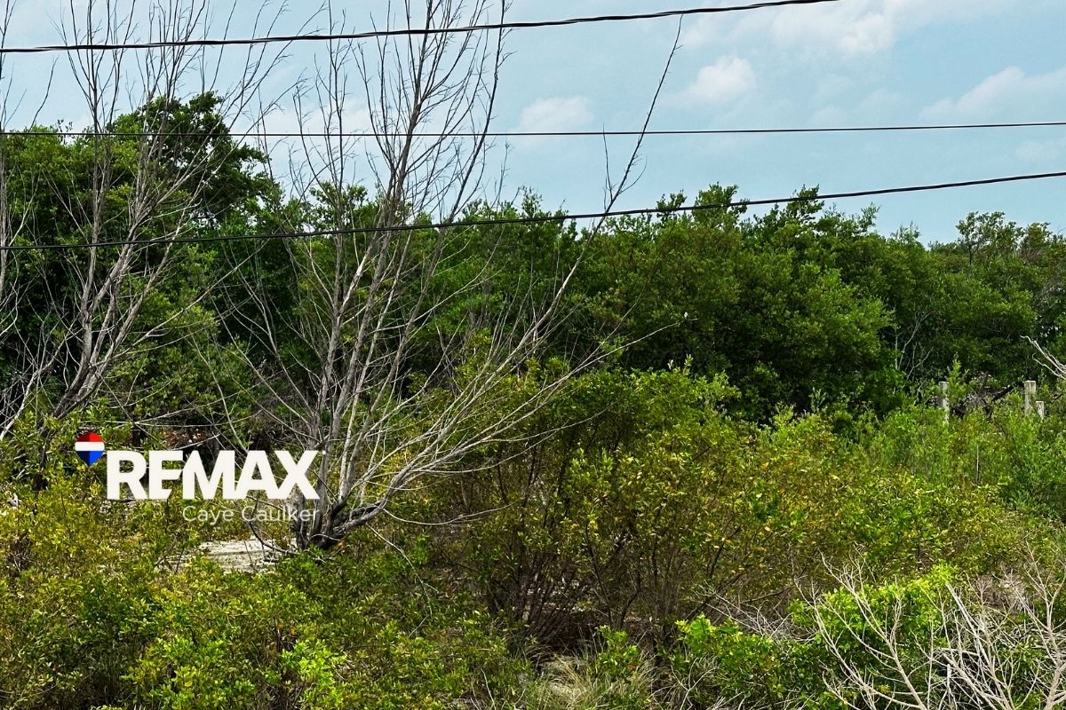 Land for Sale in Caye Caulker – Parcel on Lagoon Road