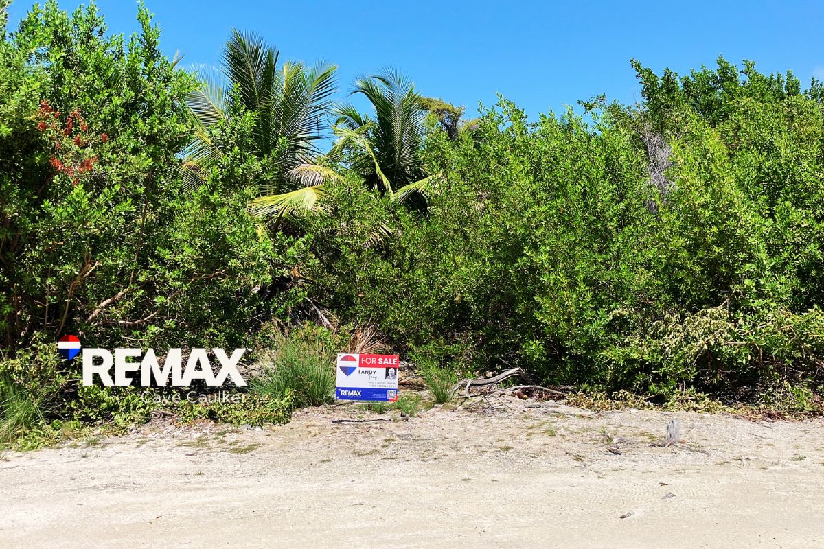 Prime North Caye Caulker Lot – High, Dry, and Ready for Development