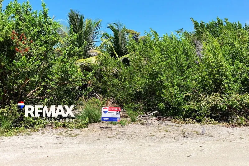 Prime North Caye Caulker Lot – High, Dry, and Ready for Development