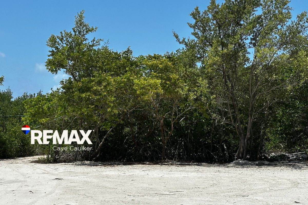 North Caye Caulker Investment Lot Near Lagoon Road