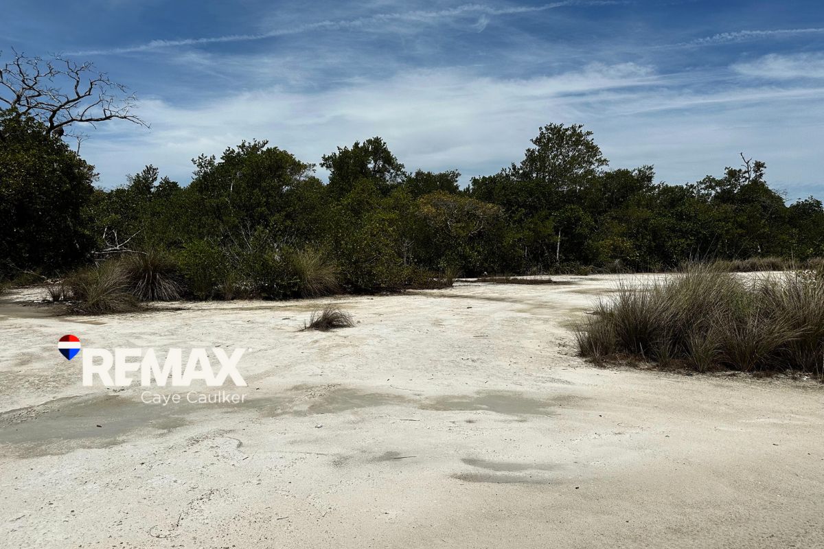 South Point Parcel – Cleared, Filled, Ready To Build