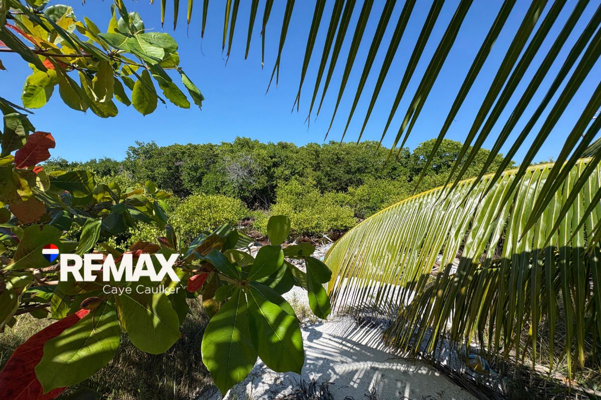 Oversized Off-Grid Lot at Mayan Sunrise – Prime Southside Investment Opportunity