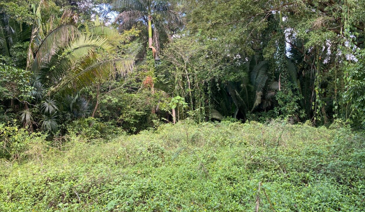 Residential Lot For Sale in Belmopan, Cayo District