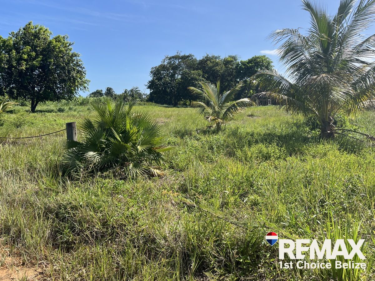 L3611 - Riverfront Living with Direct Access to the Caribbean Sea