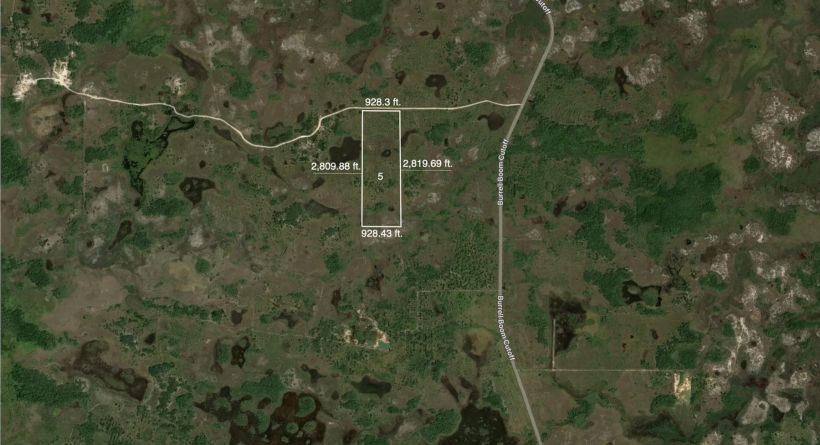 FOR SALE: 60-Acre Property in Burrell Boom, Belize District, BELIZE