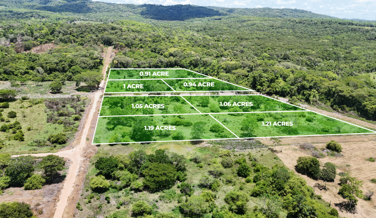 San Ignacio’s Next Hotspot: 0.61 Acre Lots in Bullet Tree
