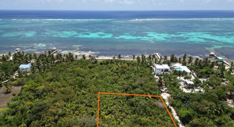 San Roman Oversized Homesite