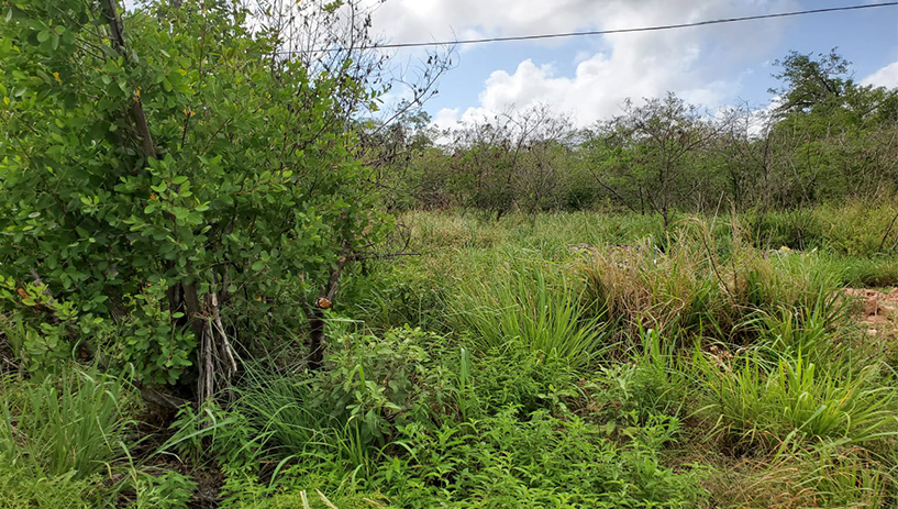 10 Acres Property for Sale