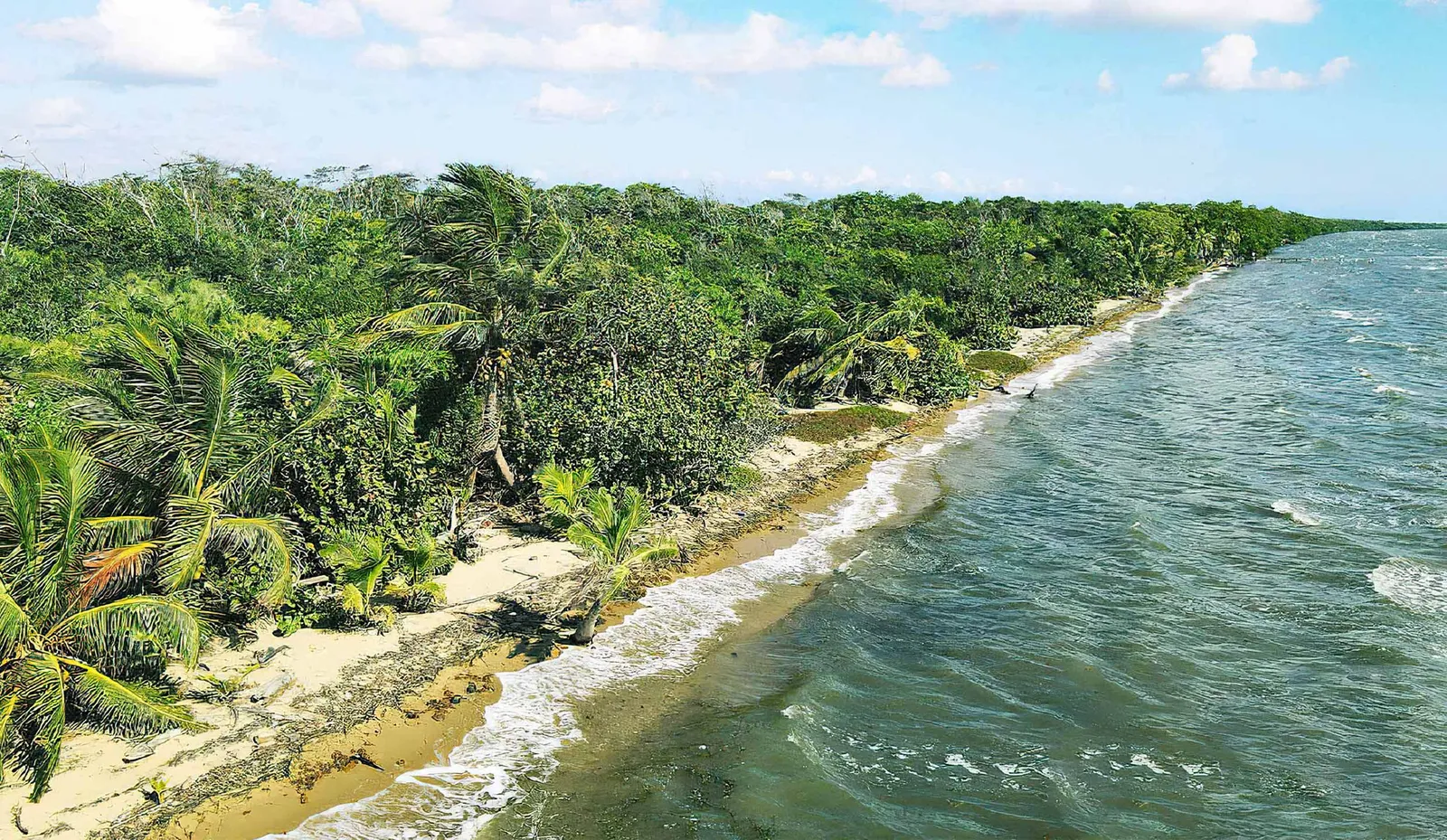 31.42 Acres Seafront Property in Belize District