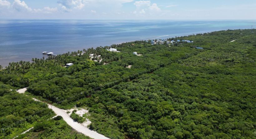 Second Row Acreage In Habaneros