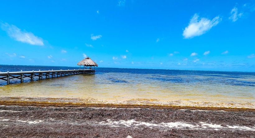 Spanish Reef Beachfront