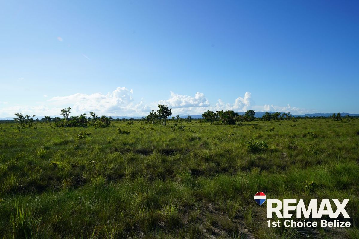 L1504 - Spectacular Mountain View Property