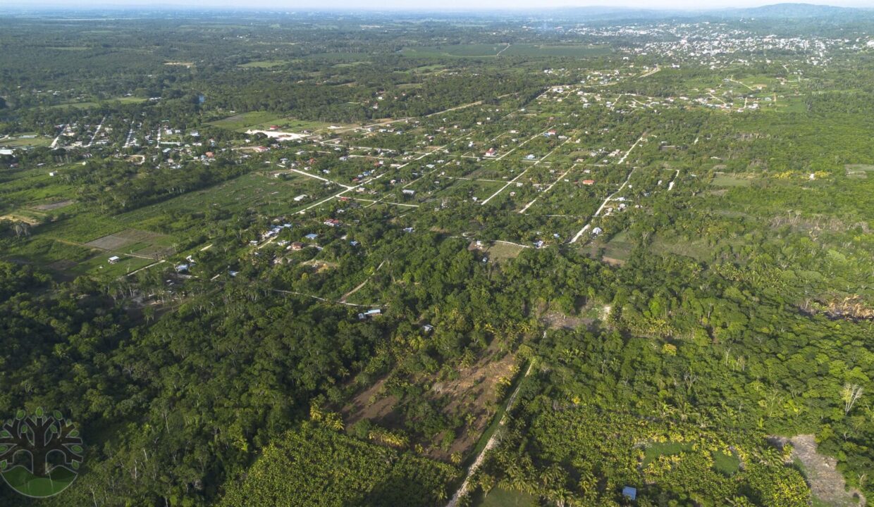 Stunning 5.8-acre Homestead outside Bullet Tree Falls!