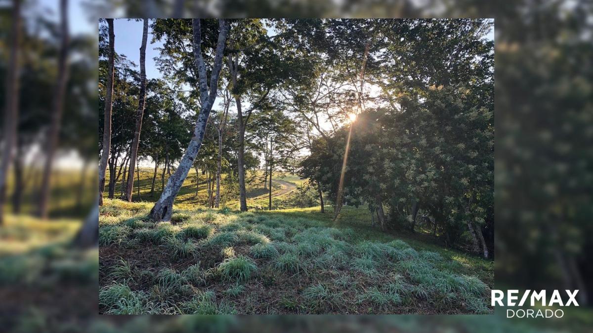 The Ultimate Country side living experience! Santa Familia Village