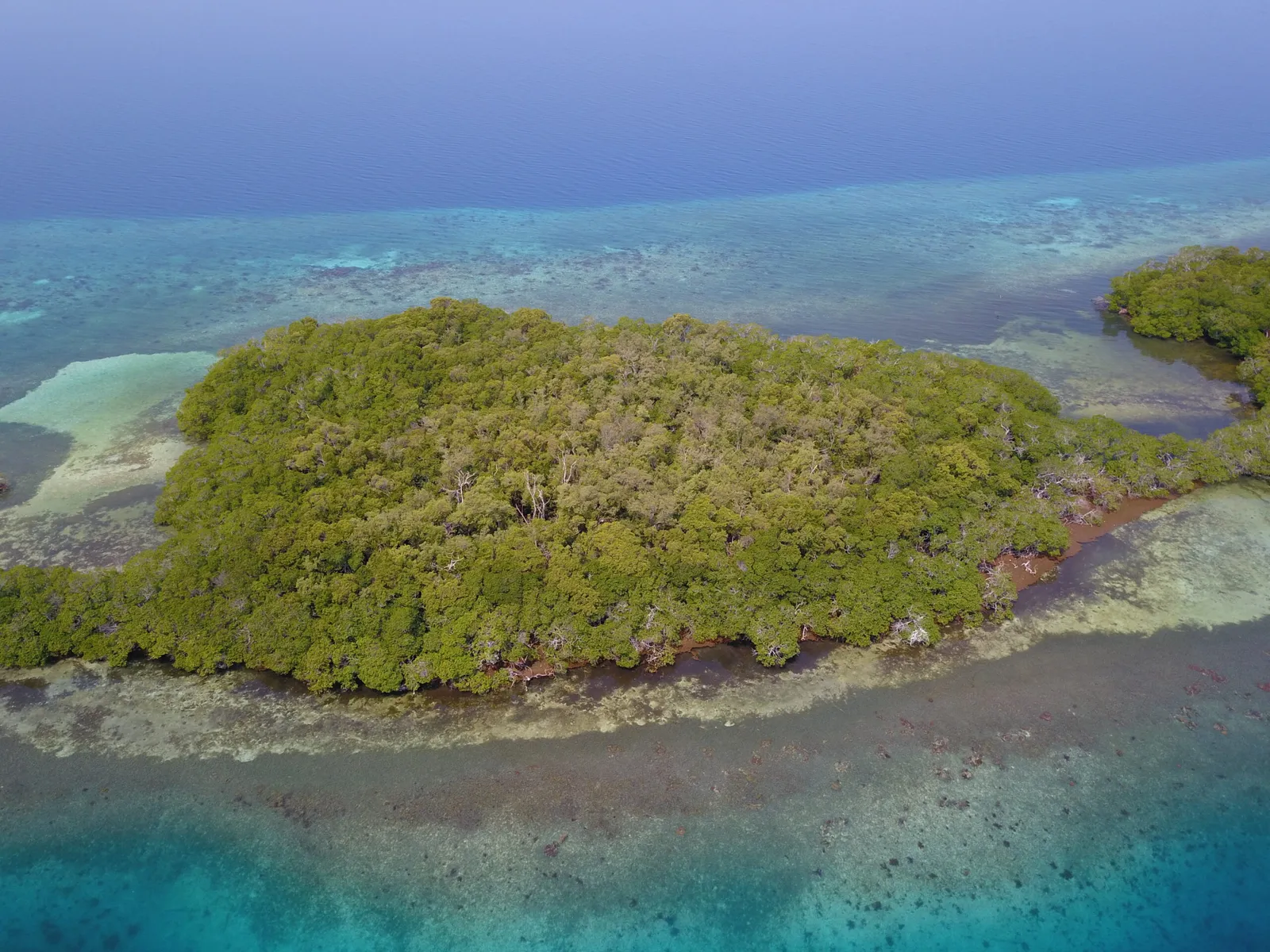 South Saddle Caye