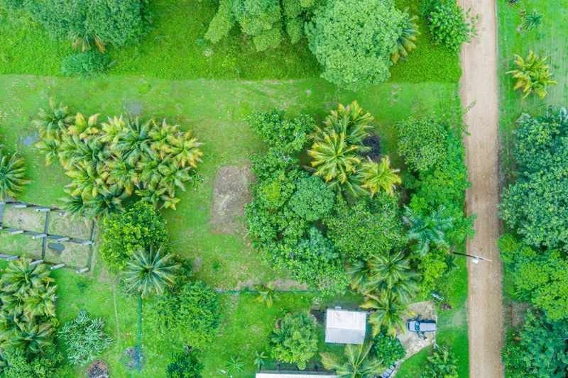 Toucan Paradise – Fruit Trees, Incredible Birdlife & Riverside Living Near Hopkins