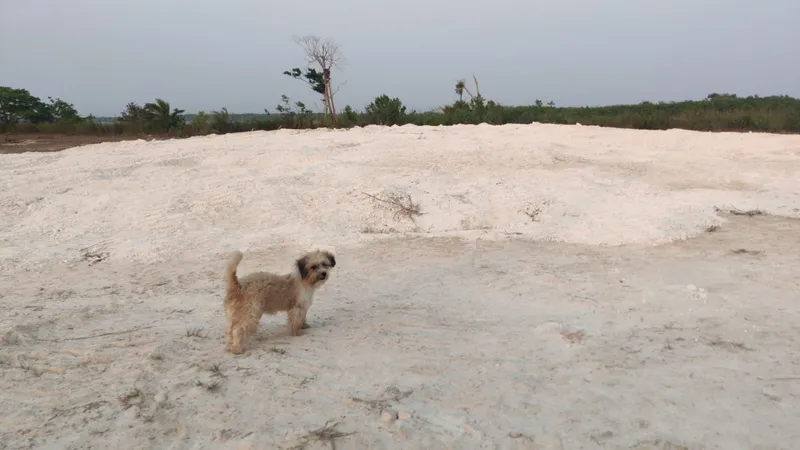 DEAL ALERT ! Lagoon/beach front lot, gated community Progresso Heights in Corozal, Belize