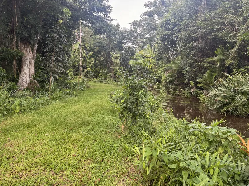 1555- Prime 5-Acre Agricultural Estate Near the Sittee River – Stann Creek District, Belize