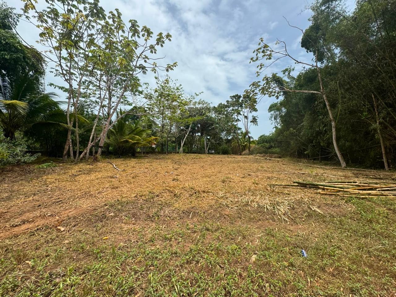 Your Private Tropical Oasis – .442 Acres in Sittee River Village