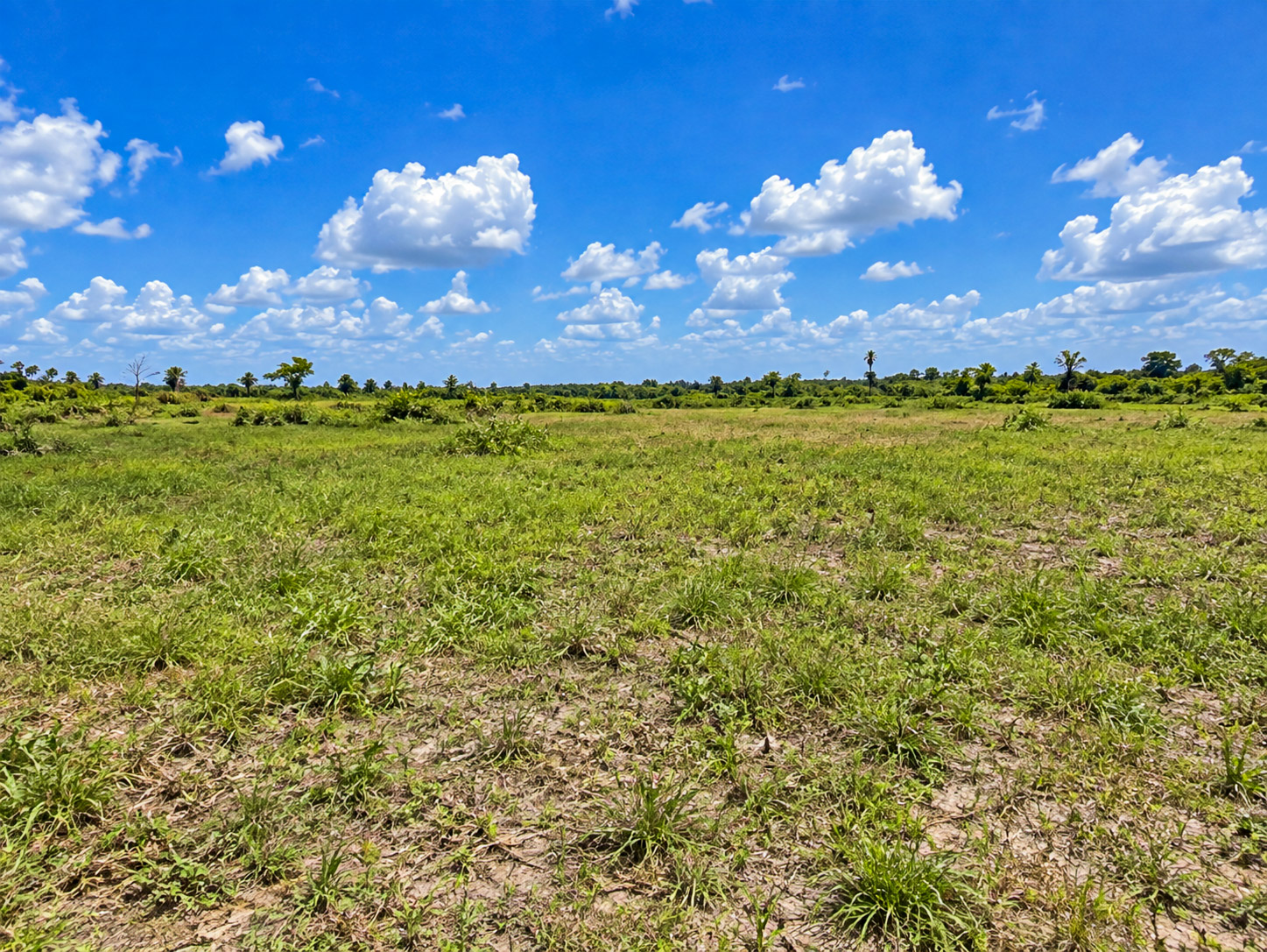 10.782 ACRES FOR SALE – LONDON AREA, CARMELITA, BELIZE
