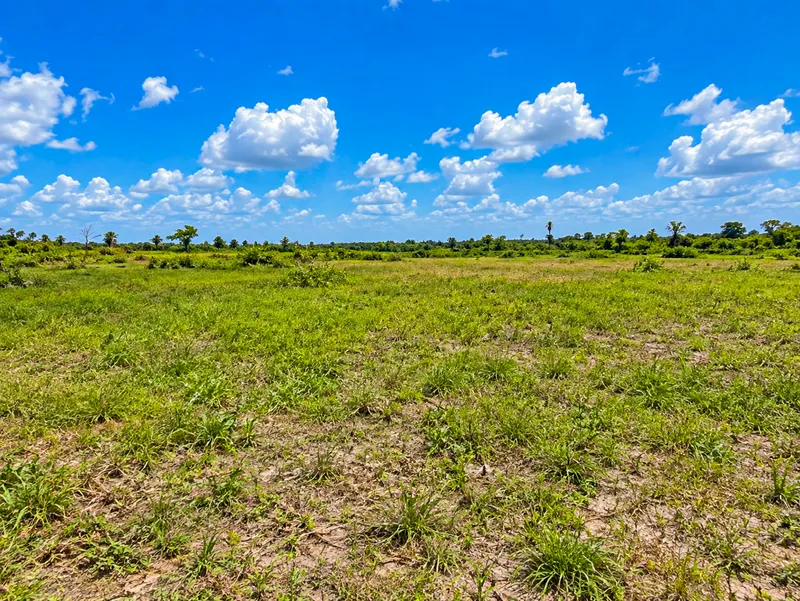 10.782 ACRES FOR SALE – LONDON AREA, CARMELITA, BELIZE