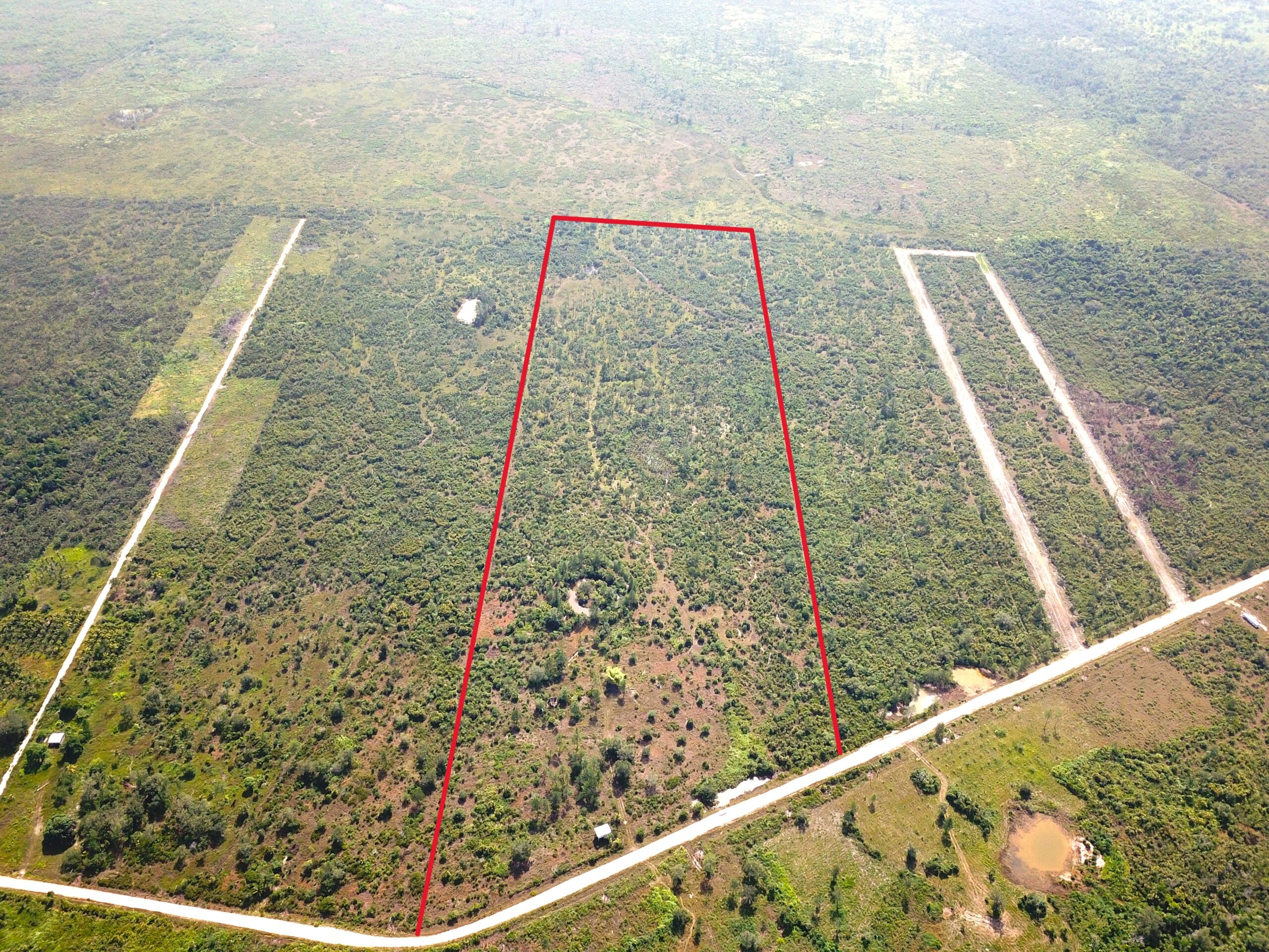 50+ Acres of Land for Sale Near Belmopan, Belize | Cayo District
