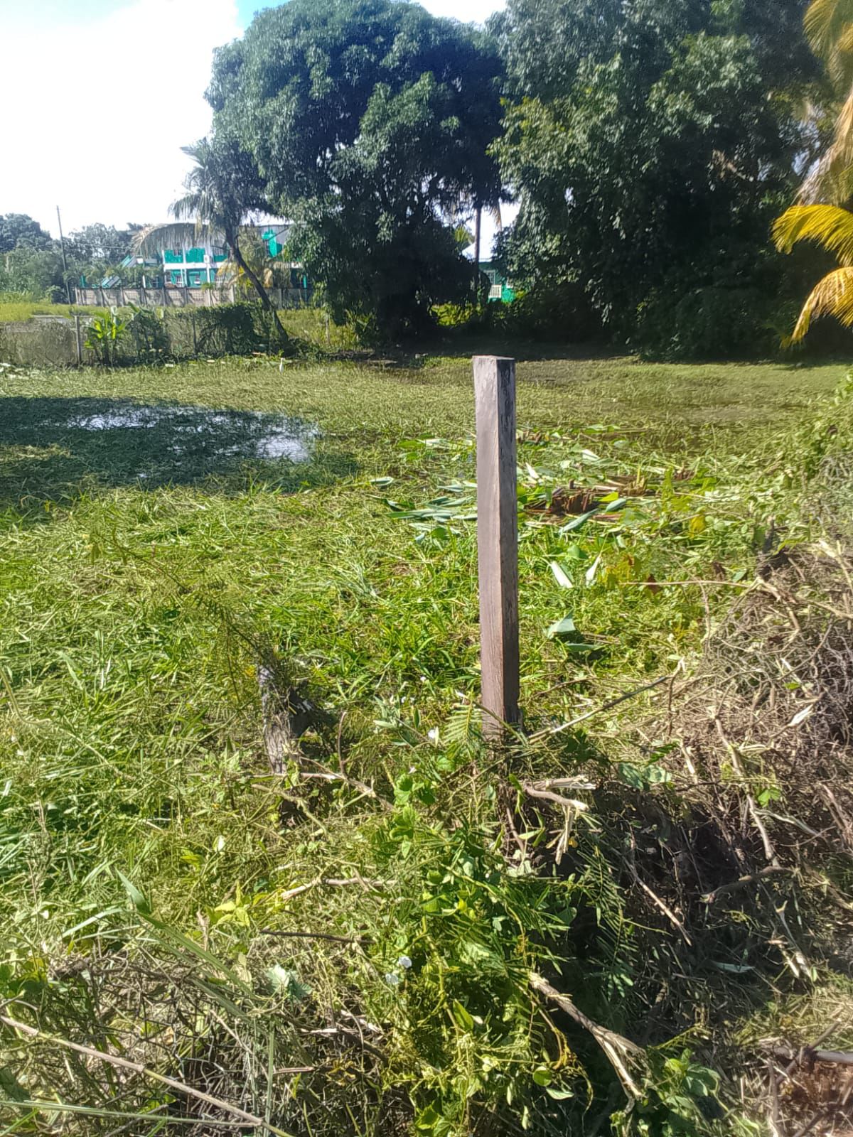 5006- Prime Development Lot in Dangriga Town - 0.98 Acres