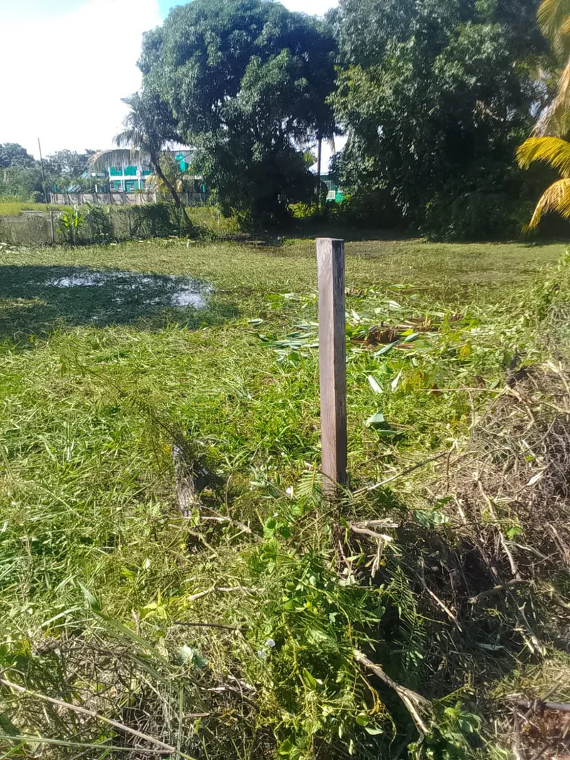 5006- Prime Development Lot in Dangriga Town - 0.98 Acres