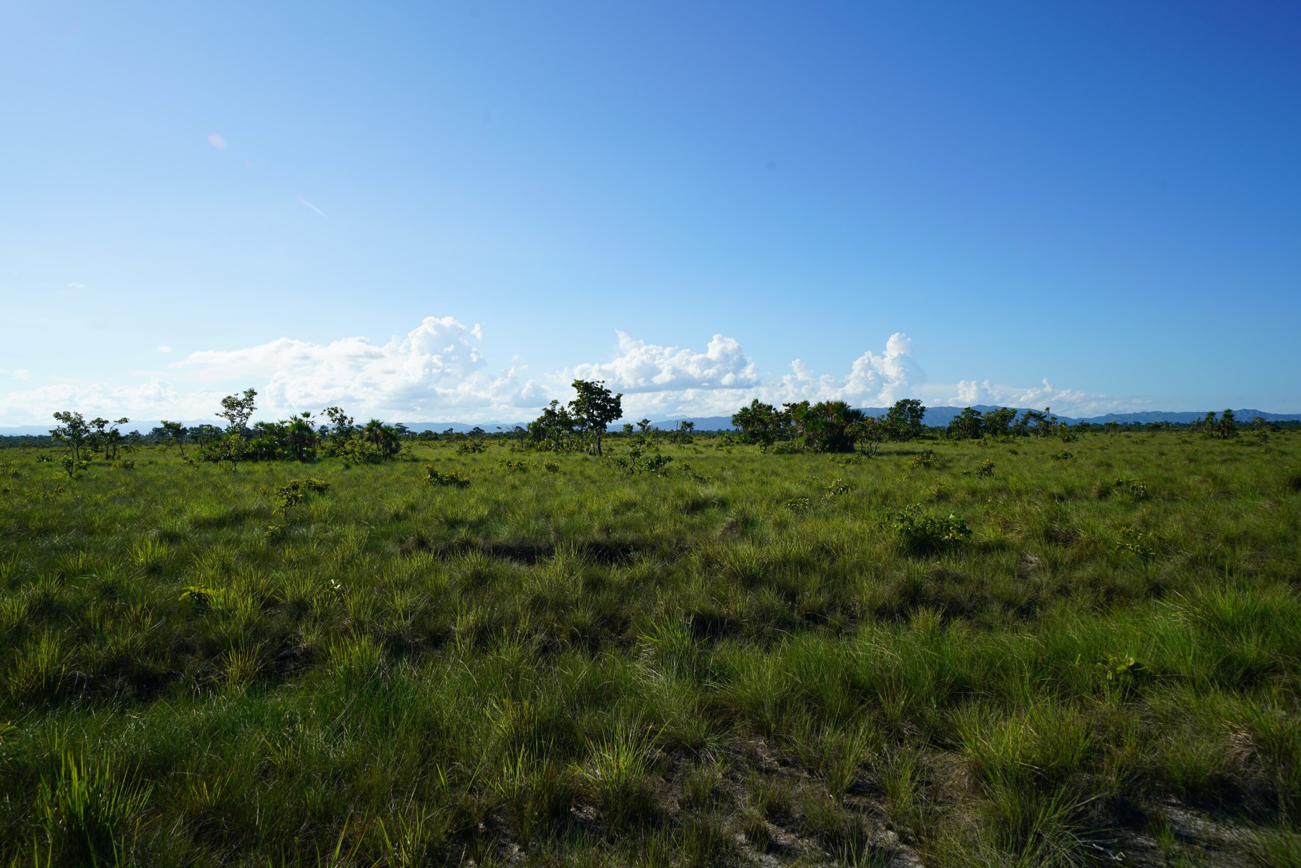 5+ Acre Properties for Sale Near Independence & Flour Camp Area – Multiple Lots Available