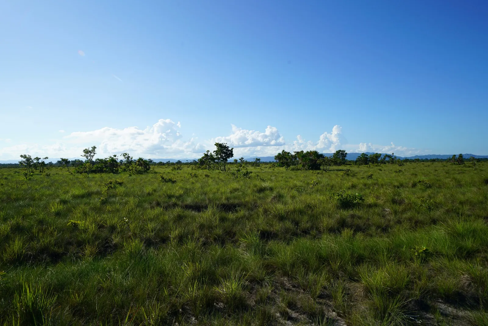 5+ Acre Properties for Sale Near Independence & Flour Camp Area – Multiple Lots Available