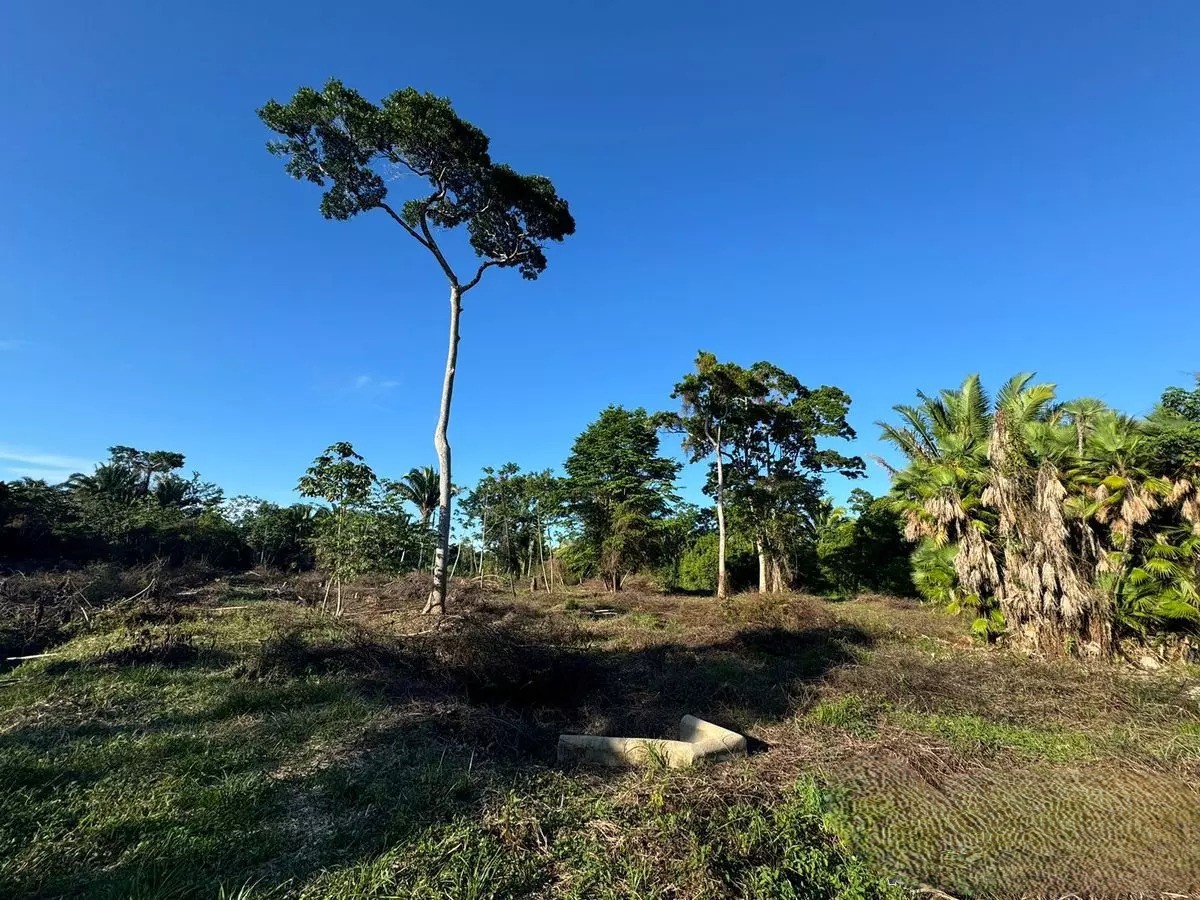Affordable Land Near Hopkins, Belize – Multiple Lots Available with Owner Financing