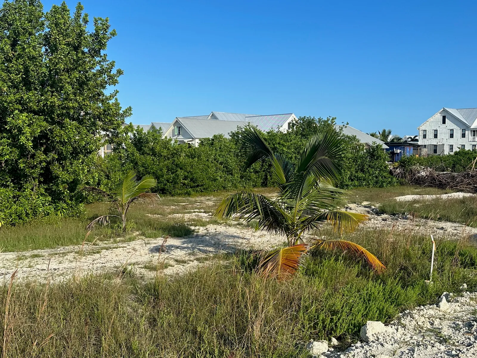 Mahogany Bay
