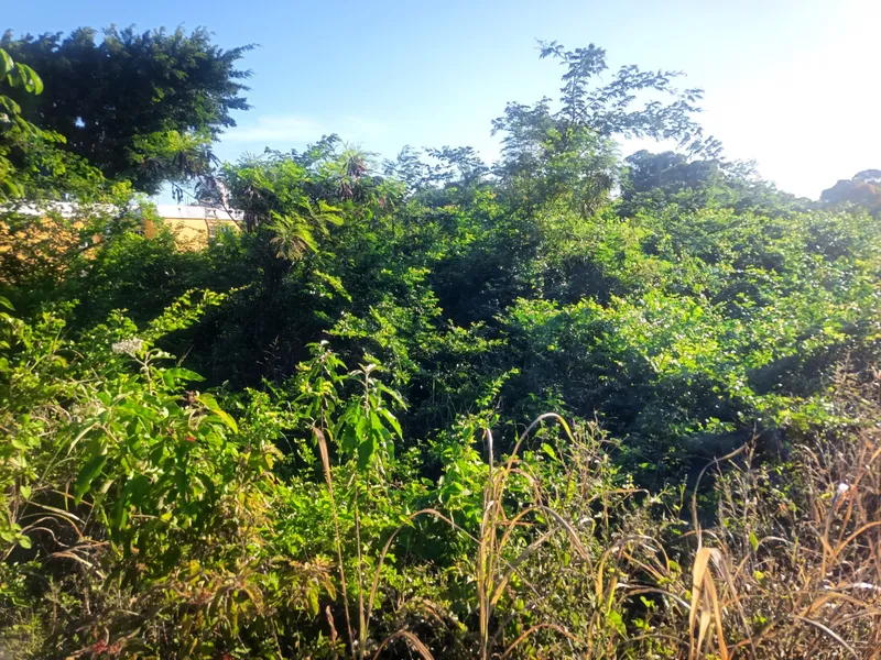 3609 - Vacant lot in Paraiso