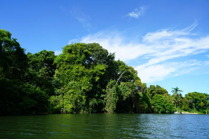 One-of-a-Kind Riverfront Opportunity | Nearly 200 Ft of Frontage - Lot 8 and 9