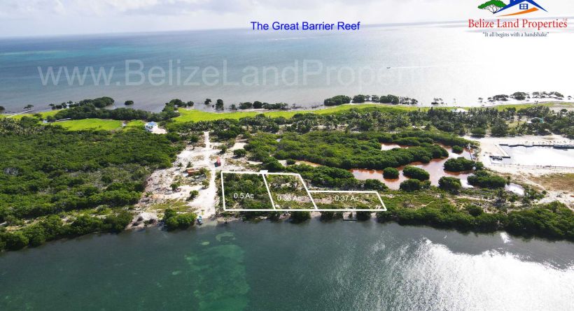 0.5 ACRE WITH 94 FEET BEACHFRONT NORTH-WEST OF “THE SPLIT” CAYE CAULKER, BELIZE! BELIZE ISLAND PROPERTIES FOR SALE ID-CC4