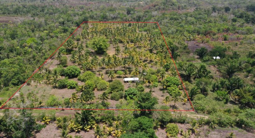 10-Acre Off-Grid Farm For Sale in Belmopan, Cayo District