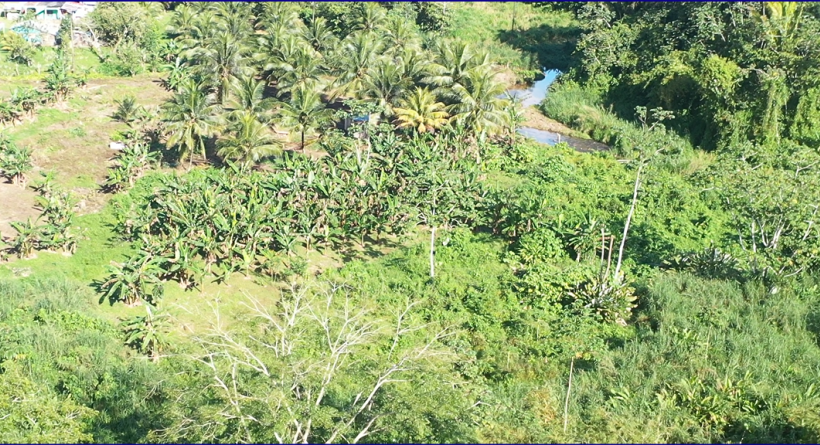 10-Acres on the Hummingbird Highway