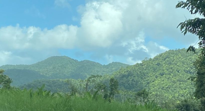 10 Acres in Maya Mountains