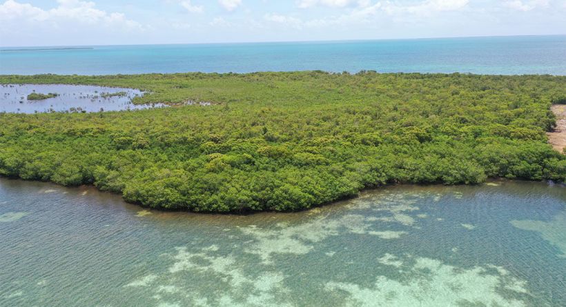 1.067 Acre on Cross Caye