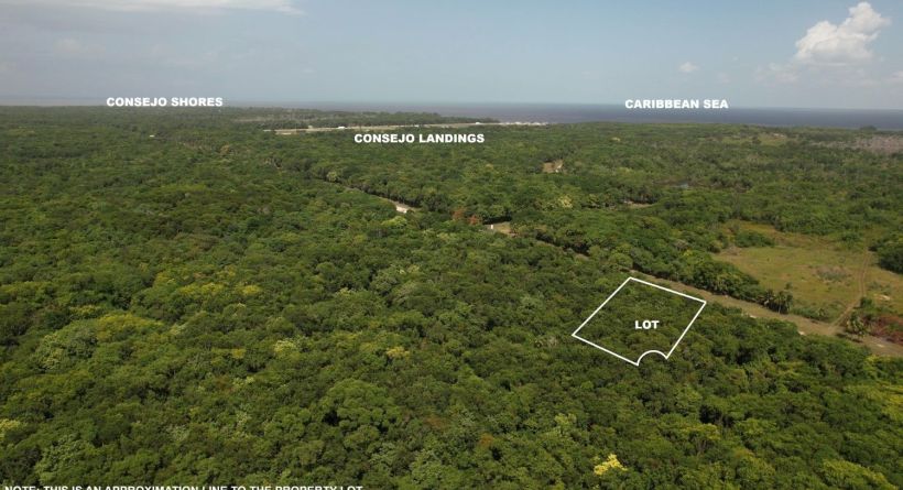 1.18 Acre Parcel Along the Consejo Road