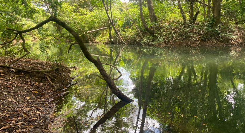 118-Acre Parcel for Sale in Georgeville Village, Cayo District
