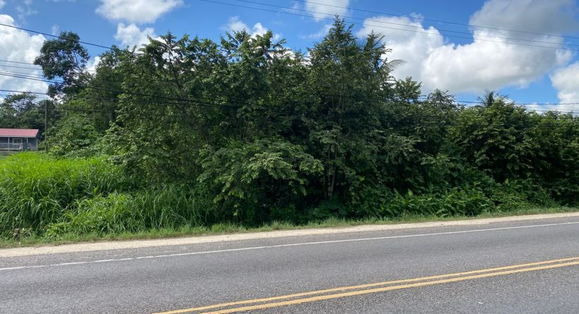 1.19 Acre Property For Sale in Roaring Creek Village