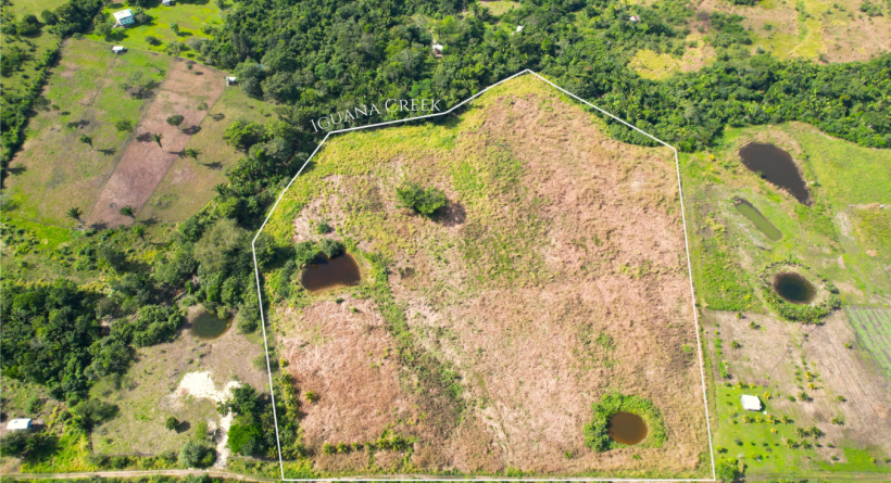12.75 Acres on Iguana Creek Selena