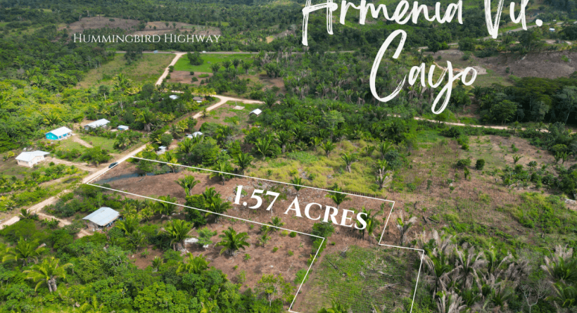 1.57 Acres of Prime Land Near the Hummingbird Highway
