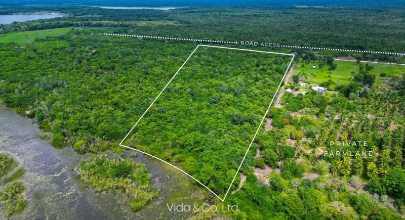17.01 Acres untouched Farm Land in Miller’s Bight, Orange Walk District