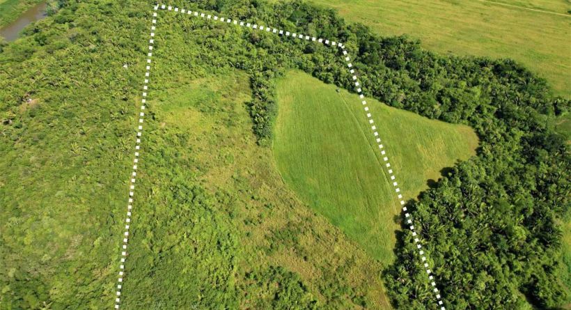 19.607 Acres Farm Land for Billy White